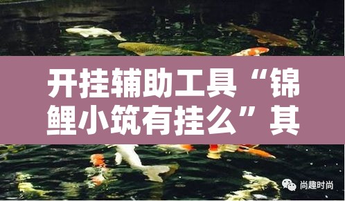 开挂辅助工具“锦鲤小筑有挂么”其实确实有挂