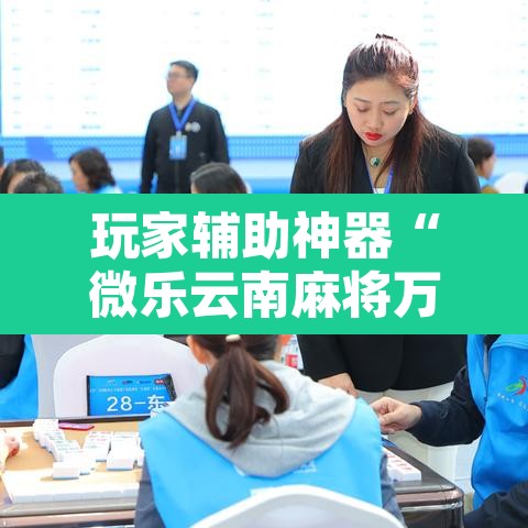 玩家辅助神器“微乐云南麻将万能开挂器	”其实确实有挂