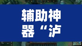 辅助神器“泸州大贰可以开挂吗有挂的”其实确实有挂