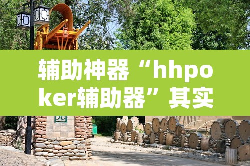 辅助神器“hhpoker辅助器”其实确实有挂