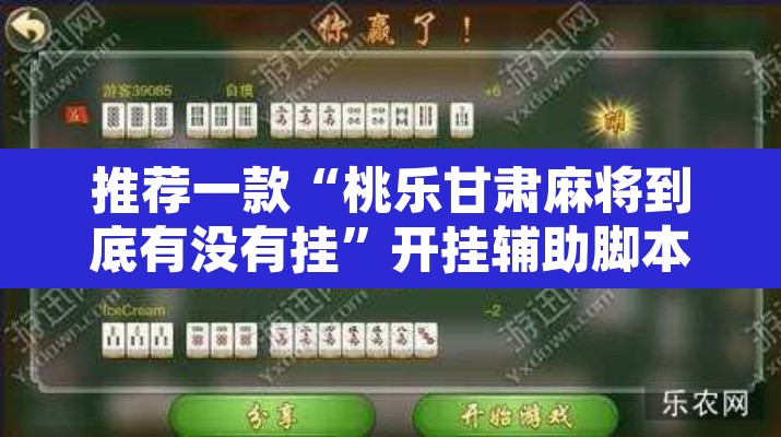 推荐一款“桃乐甘肃麻将到底有没有挂”开挂辅助脚本+详细开挂安装教程