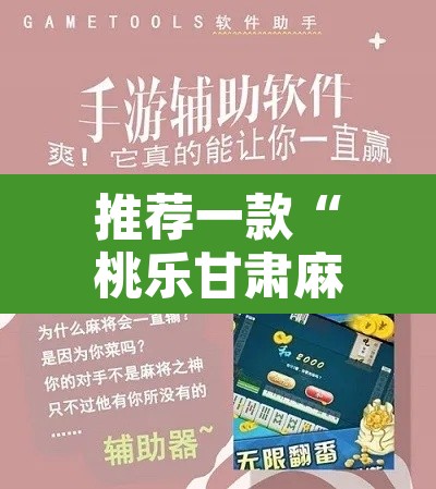 推荐一款“桃乐甘肃麻将到底有没有挂	”开挂辅助脚本+详细开挂安装教程