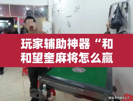 玩家辅助神器“和和望奎麻将怎么赢”(透视)其实确实有挂