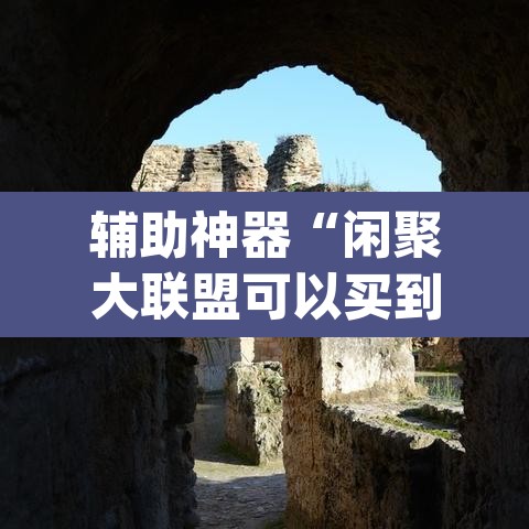 辅助神器“闲聚大联盟可以买到挂吗”(透视挂)辅助透视教程