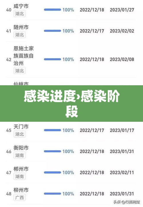 感染进度›感染阶段 感染进度›感染阶段
