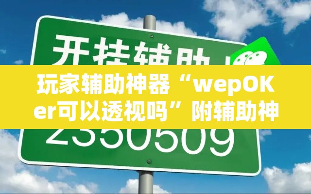 玩家辅助神器“wepOKer可以透视吗”附辅助神器开挂脚本详细步骤
