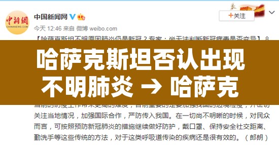 哈萨克斯坦否认出现不明肺炎 → 哈萨克斯坦新冠肺炎确诊病例