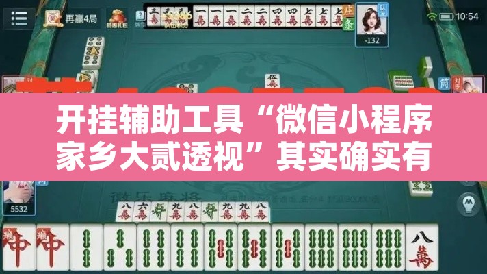 开挂辅助工具“微信小程序家乡大贰透视”其实确实有挂