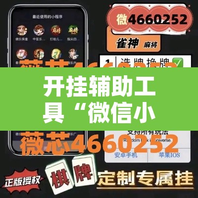 开挂辅助工具“微信小程序家乡大贰透视”其实确实有挂