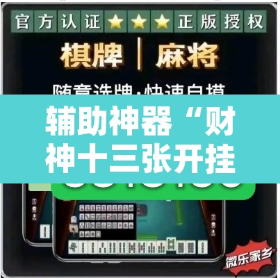 辅助神器“财神十三张开挂透视软件”其实确实有挂