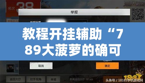 教程开挂辅助“789大菠萝的确可以开挂	”(透视挂)辅助透视教程