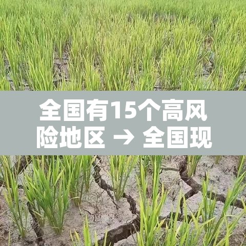 全国有15个高风险地区 → 全国现有1个高风险区13个中风险区