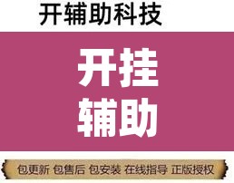 开挂辅助工具“hhpoker透视挂作弊辅助”开挂辅助脚本+详细开挂安装教程