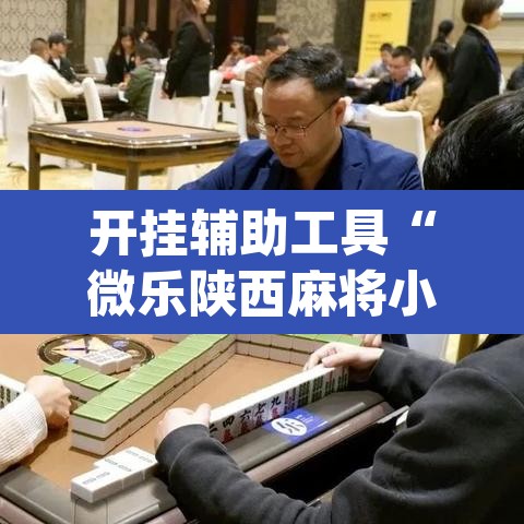 开挂辅助工具“微乐陕西麻将小程序必赢神器免费安装	”(透视)其实确实有挂