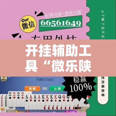 开挂辅助工具“微乐陕西三代辅助软件”开挂辅助脚本+详细开挂安装教程
