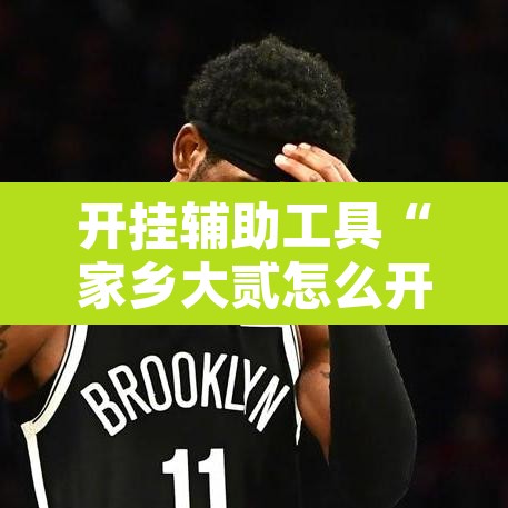 开挂辅助工具“家乡大贰怎么开挂是真的吗?”开挂辅助脚本+详细开挂安装教程