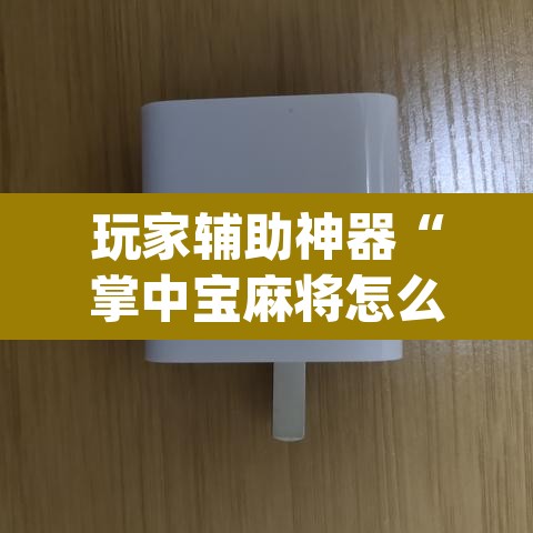 玩家辅助神器“掌中宝麻将怎么装挂	”(透视挂)辅助透视教程