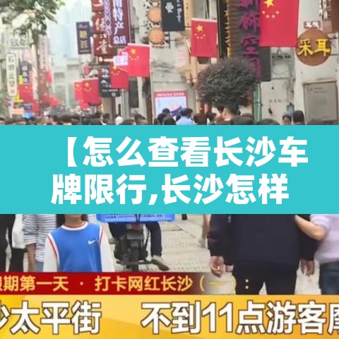 【怎么查看长沙车牌限行,长沙怎样限号2020】