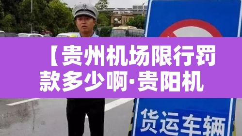 【贵州机场限行罚款多少啊·贵阳机场交通管制】 【贵州机场限行罚款多少啊·贵阳机场交通管制】