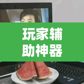 玩家辅助神器“哥哥打大a辅助工具	”(透视)其实确实有挂