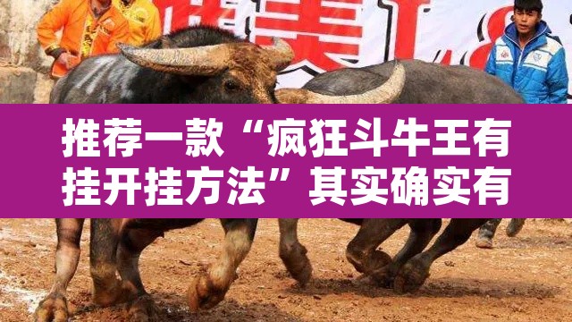 推荐一款“疯狂斗牛王有挂开挂方法	”其实确实有挂