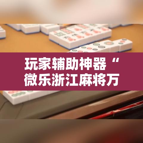 玩家辅助神器“微乐浙江麻将万能开挂器免费”开挂辅助脚本+详细开挂安装教程