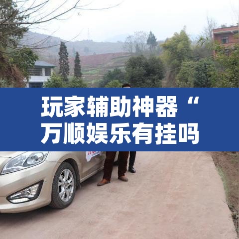 玩家辅助神器“万顺娱乐有挂吗”其实确实有挂