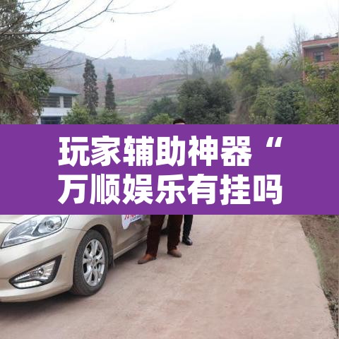 玩家辅助神器“万顺娱乐有挂吗”其实确实有挂