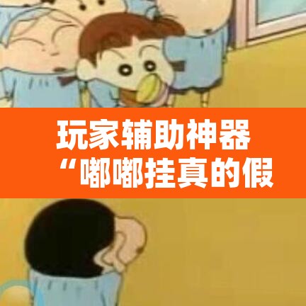 玩家辅助神器“嘟嘟挂真的假的	”开挂辅助脚本+详细开挂安装教程