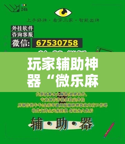 玩家辅助神器“微乐麻将万能开挂器通用”其实确实有挂