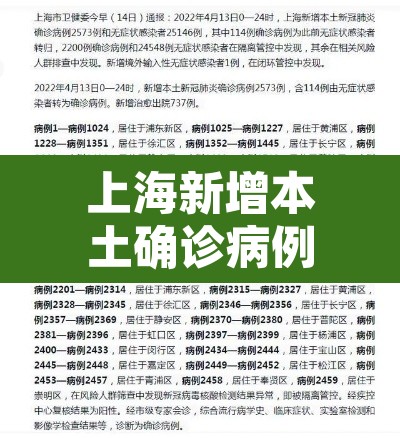 上海新增本土确诊病例2例›上海新增1例本土确诊病例,详情公布