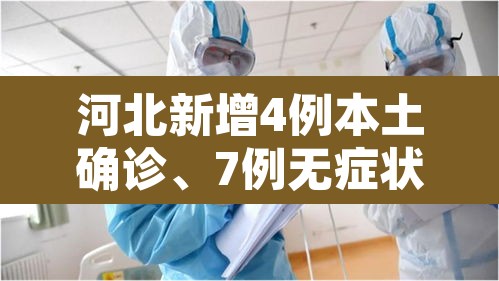 河北新增4例本土确诊、7例无症状›河北新增4例本土确诊病例