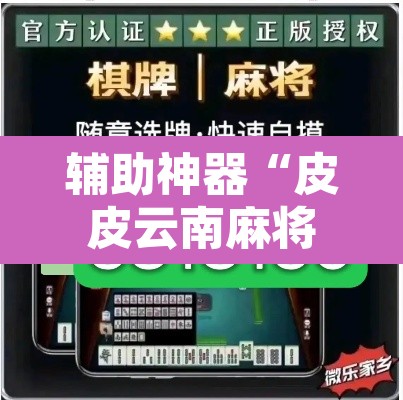 辅助神器“皮皮云南麻将通用挂”其实确实有挂