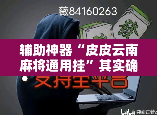 辅助神器“皮皮云南麻将通用挂	”其实确实有挂