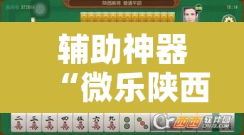 辅助神器“微乐陕西三代挂开挂”其实确实有挂
