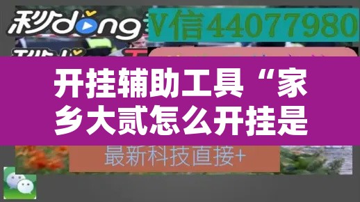 开挂辅助工具“家乡大贰怎么开挂是真的吗?”开挂辅助脚本+详细开挂安装教程