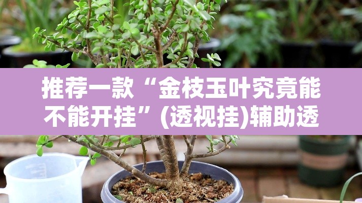 推荐一款“金枝玉叶究竟能不能开挂	”(透视挂)辅助透视教程