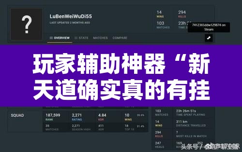 玩家辅助神器“新天道确实真的有挂	”开挂辅助脚本+详细开挂安装教程