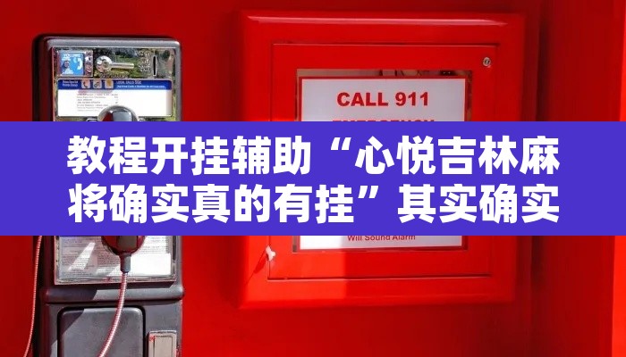教程开挂辅助“心悦吉林麻将确实真的有挂	”其实确实有挂