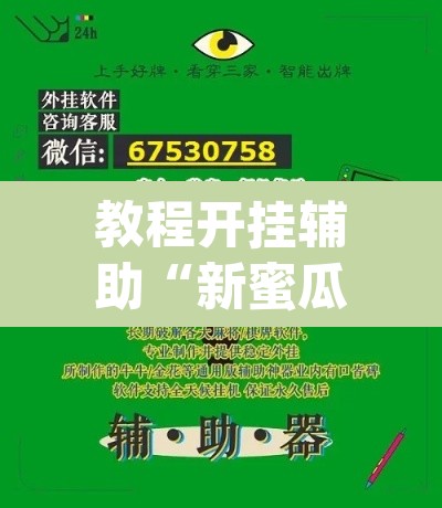 教程开挂辅助“新蜜瓜大厅怎么开挂”(透视)其实确实有挂