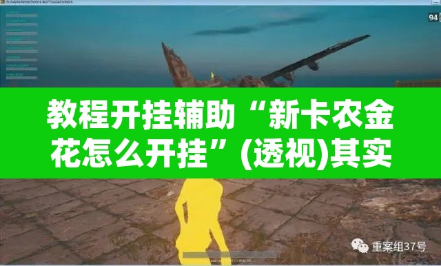 教程开挂辅助“新卡农金花怎么开挂	”(透视)其实确实有挂