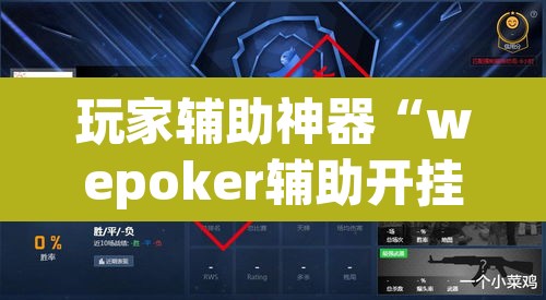 玩家辅助神器“wepoker辅助开挂”(透视挂)辅助透视教程