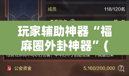 玩家辅助神器“福麻圈外卦神器	”(透视)其实确实有挂