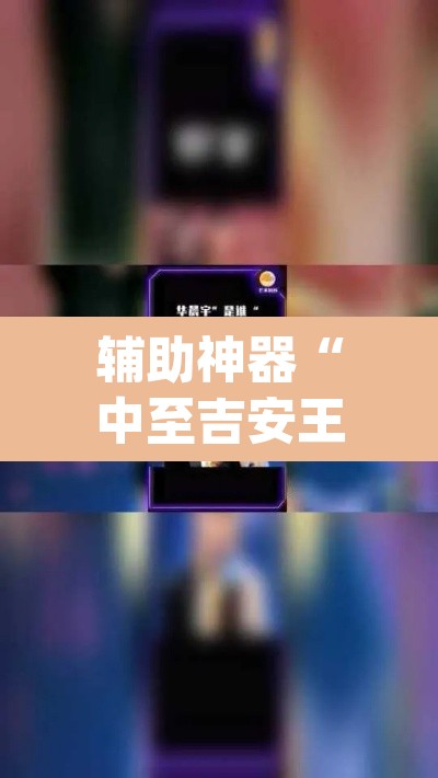 辅助神器“中至吉安王炸比奖调胜率”(透视)其实确实有挂