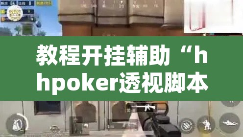 教程开挂辅助“hhpoker透视脚本	”(透视)其实确实有挂