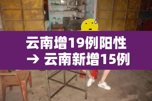 云南增19例阳性 → 云南新增15例本土确 云南增19例阳性 → 云南新增15例本土确