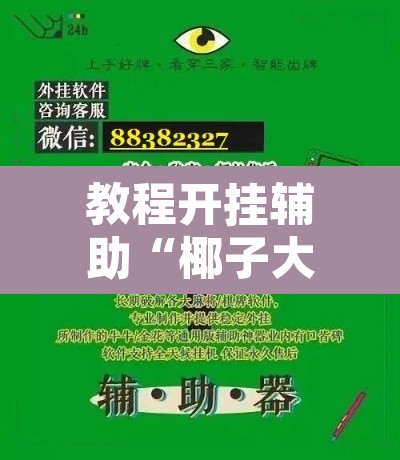教程开挂辅助“椰子大厅透视	”附辅助神器开挂脚本详细步骤