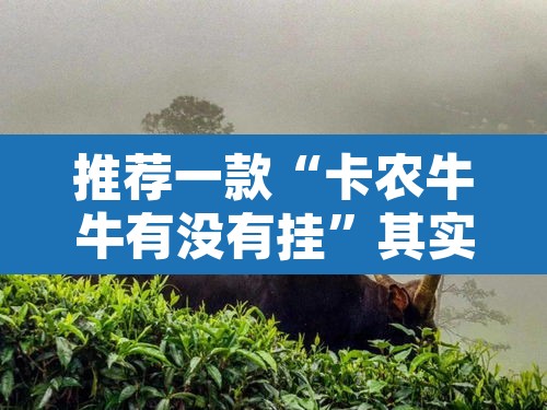 推荐一款“卡农牛牛有没有挂	”其实确实有挂
