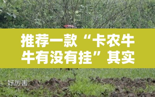 推荐一款“卡农牛牛有没有挂”其实确实有挂