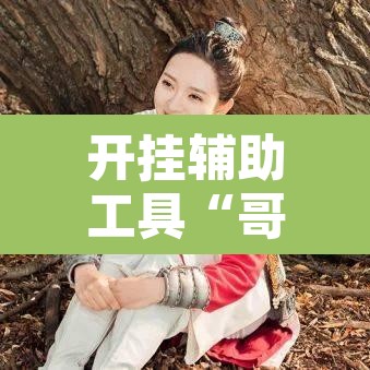 开挂辅助工具“哥哥打大a怎么开挂”开挂辅助脚本+详细开挂安装教程
